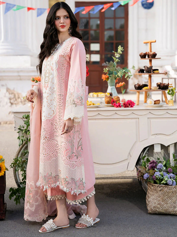 Pink clara ZB-469