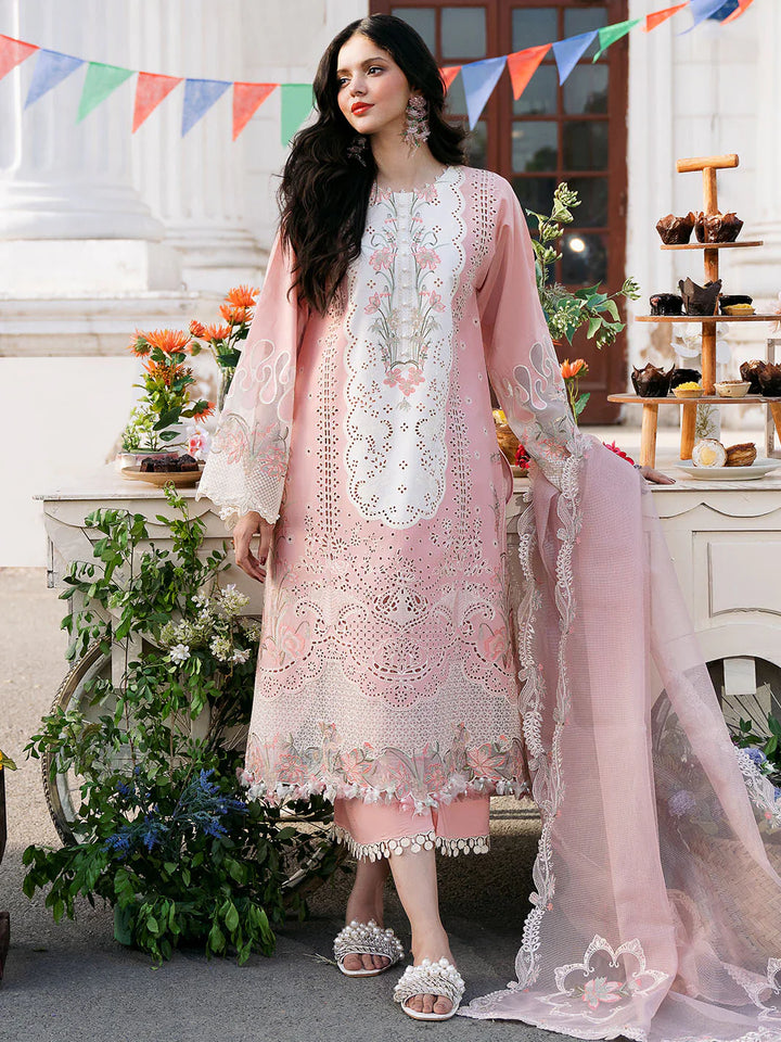 Pink clara ZB-469