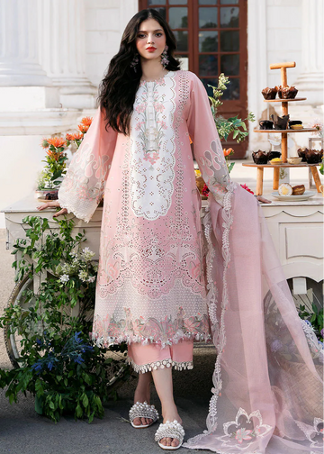 Pink clara SP-469