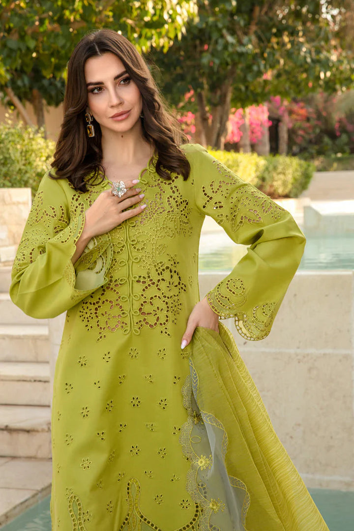 Lime green ZB-1021