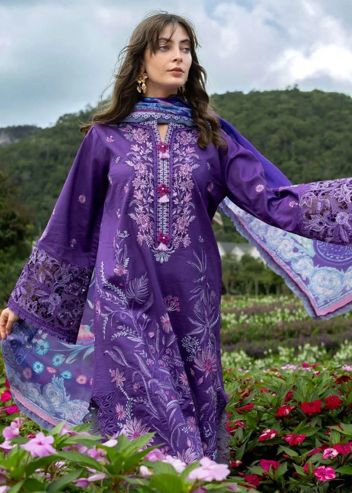 Mist purple ZB 1023