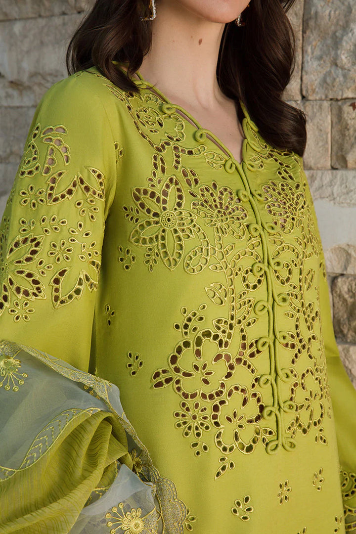 Lime green ZB-1021