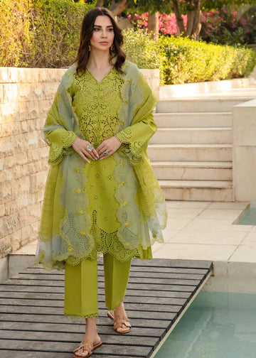 Lime green SP-1021